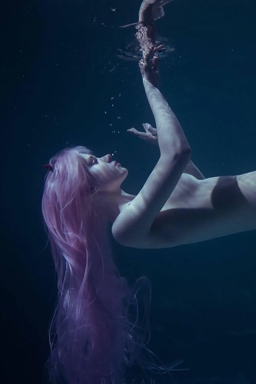 [Shirogane-Sama] Zero Two (Darling in the FranXX) - 4